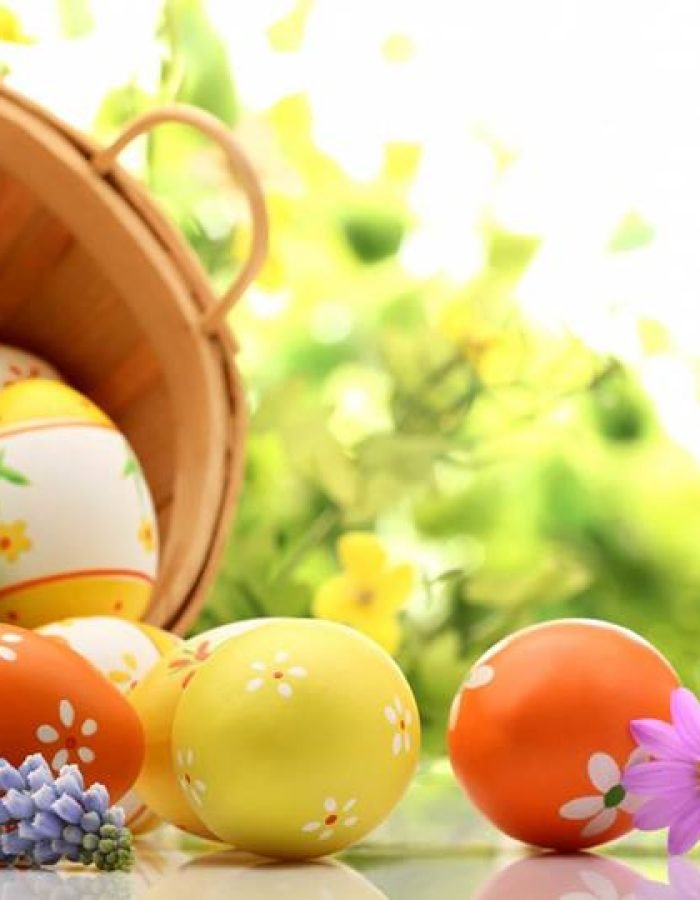 10258595_291288537700382_4613032952012378634_n