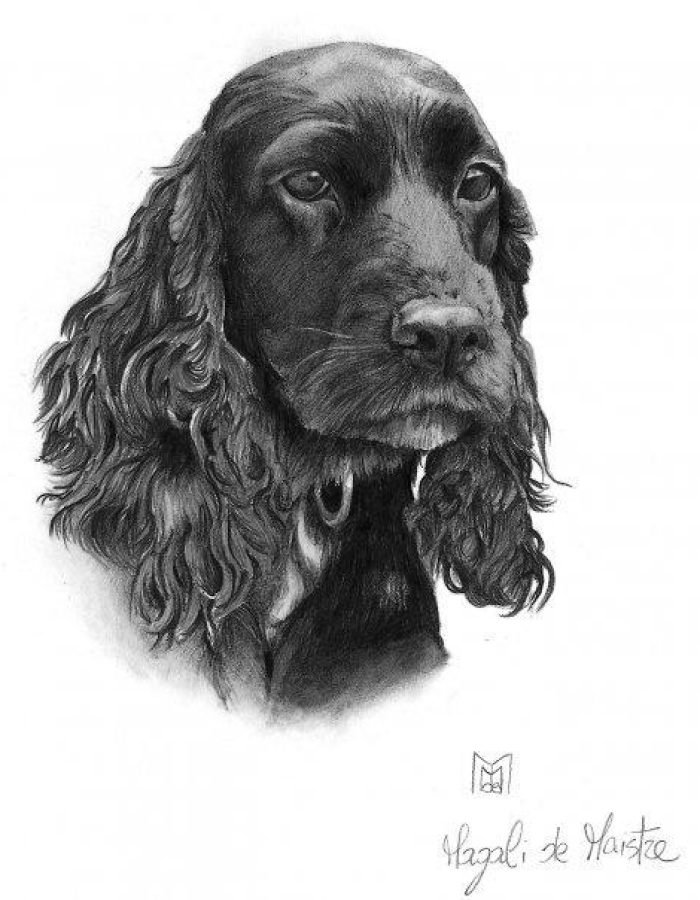 10291857_294674780695091_1148811587493293374_n