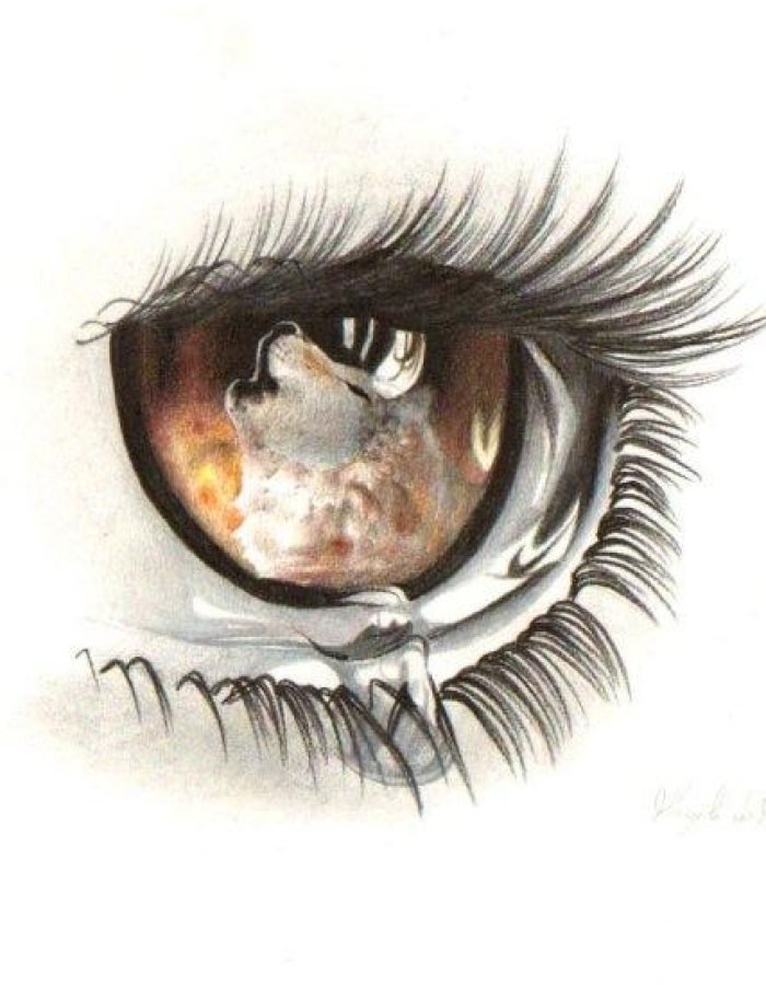 10300530_301673443328558_8723276453306656984_n