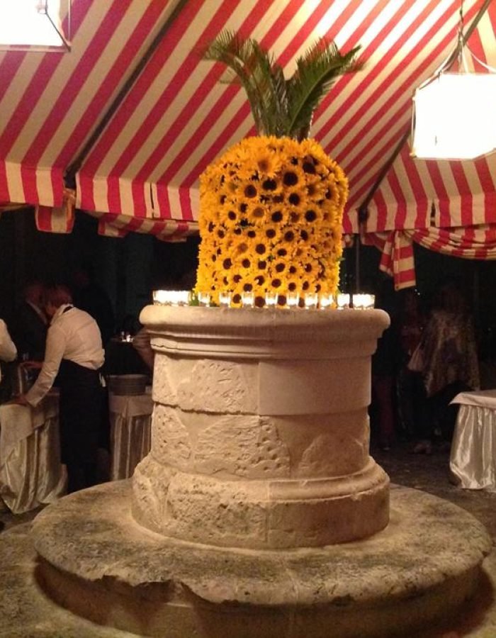 10329163_303277183168184_8048371197922357322_n