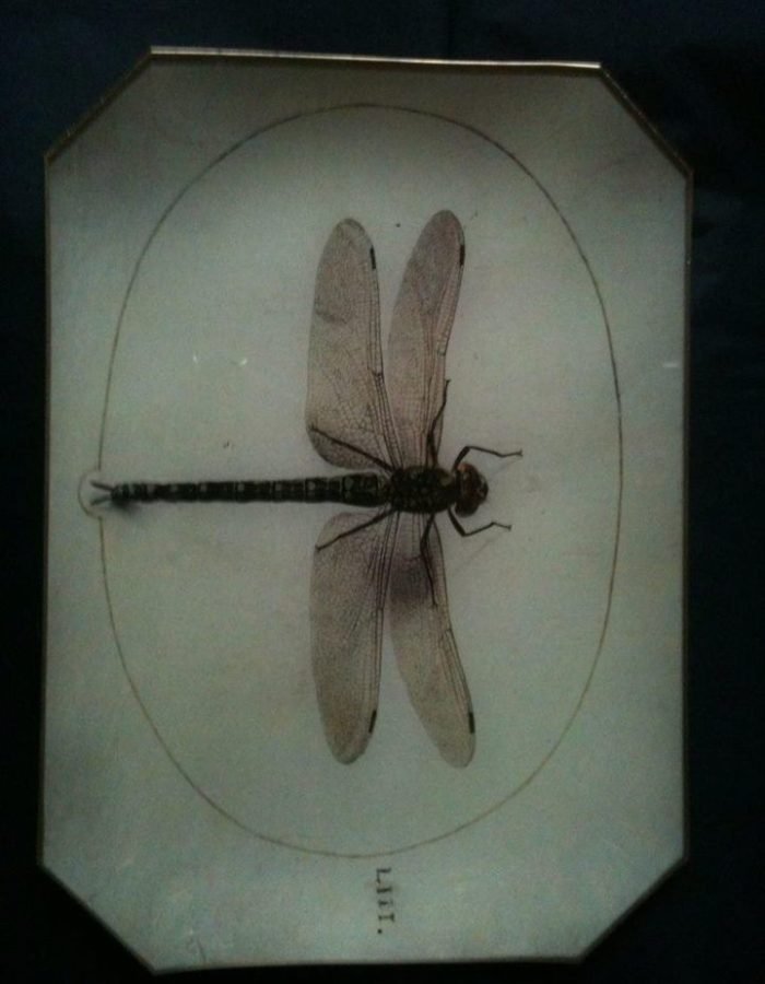 10338851_299239900238579_791072671300637155_n