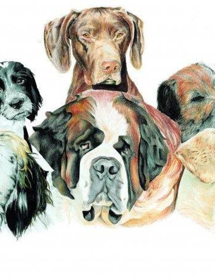 1609961_295542530608316_5330382808476770317_n