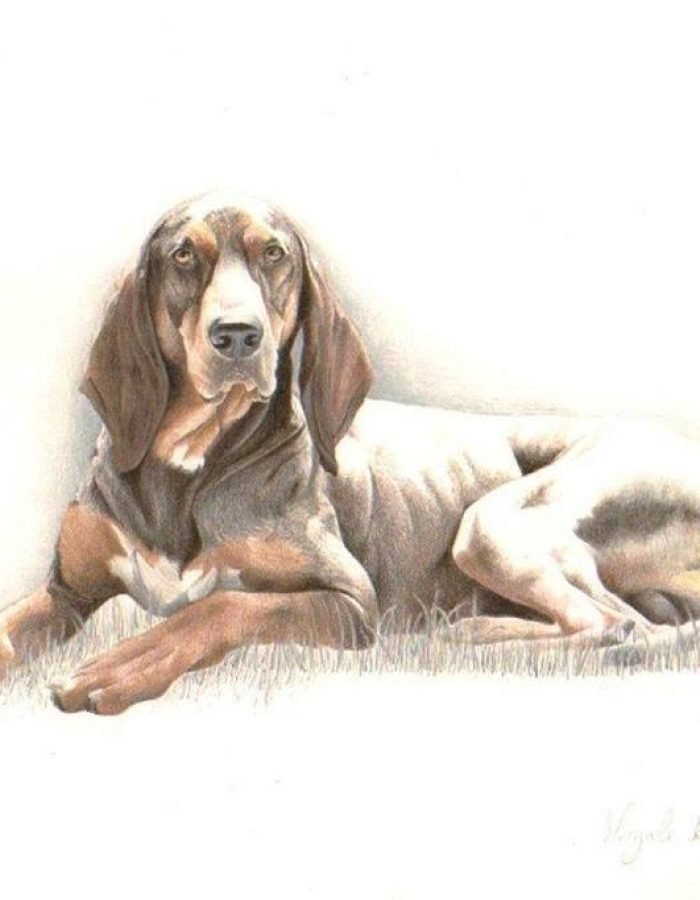 984059_294669170695652_7700714696802114100_n